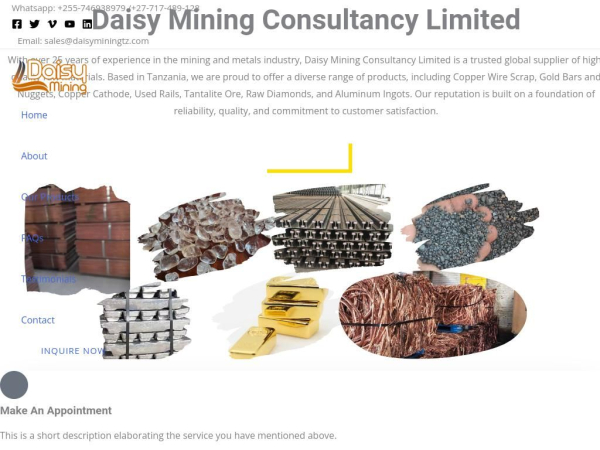 daisyminingtz.com