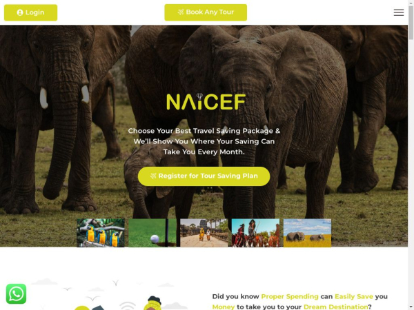 naicef.com